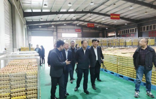宝鸡市国资委、机关事务局领导一行赴 黄马甲生鲜物流基地参观考察