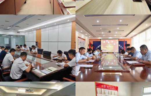 市国资公司党委安排部署各支部召开2021年党史学习教育专题组织生活会