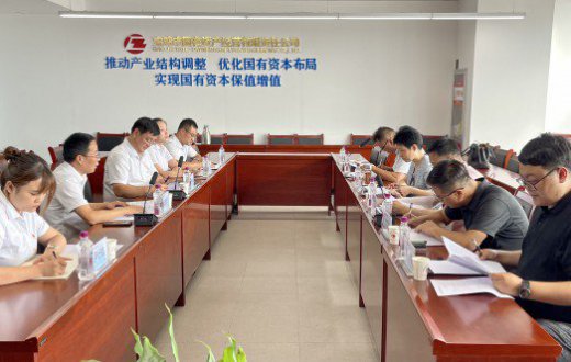 陕数集团总经理王茜一行莅临国资公司交流座谈