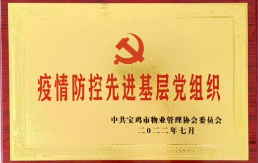 载誉前行|正能物业党支部荣获“疫情防控先进基层党组织”荣誉称号