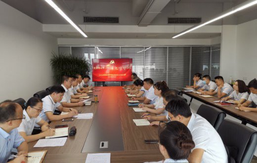 市国资公司召开党委理论学习中心组（扩大）学习会议