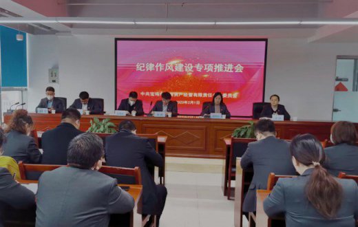 转变作风再起航 鼓足干劲开新局 —— 市国资公司召开2023年春节后纪律作风建设专项推进会