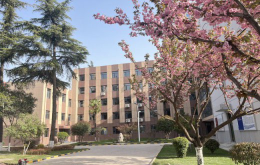 真抓实干显担当   踔厉奋发开新局 —— 宝鸡国资正能物业管理beat365官方网站成功开启现代化商办物业服务新模式