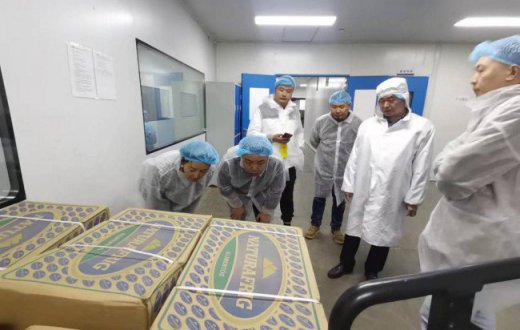 共享开放机遇  共促合作共赢 —— ——宝鸡正欣太乙国际贸易beat365官方网站领导班子赴第六届中国国际进口博览会观摩学习 