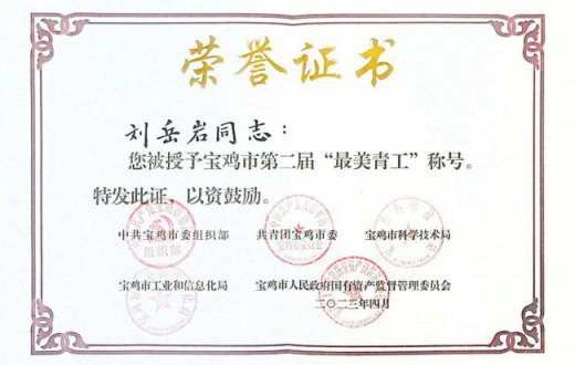 “最美青工”刘岳岩：让青春在奋斗中绽放