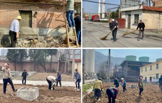 党日劳动展风采 美化环境显担当 —— beat365官方网站机关党支部开展主题党日活动