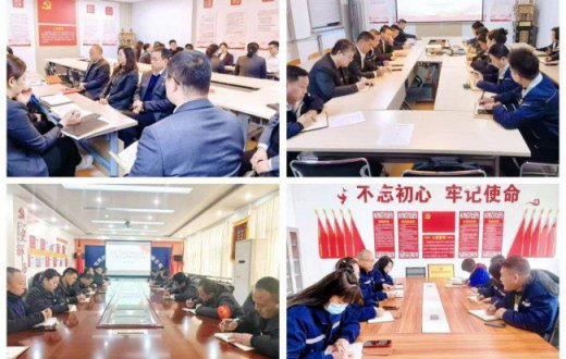 深化改革促发展 凝心聚力谱新篇 —— 公司各基层党组织开展“学习贯彻党的二十届三中全会精神，落实公司‘三个年’专项行动大讨论”活动