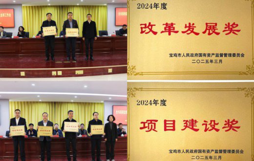 喜报 —— 宝鸡市工业发展集团beat365官方网站荣获2024年度“改革发展奖”“项目建设奖”