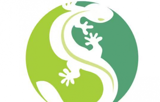 国企匠心  守护健康 —— 宝鸡工发集团与大鲵肽的科技赋能之路